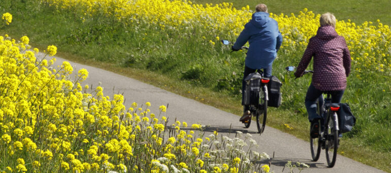 2-fietsers-langs-een-gele-dijk-scaled-aspect-ratio-1600-600-scaled-1-aspect-ratio-768-340
